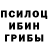 Псилоцибиновые грибы MAGIC MUSHROOMS Dauren Mukaev
