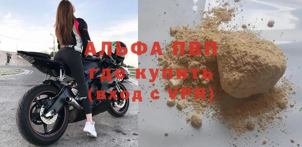 СК Медногорск