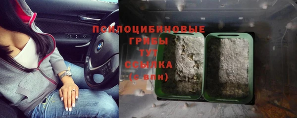 винт Медвежьегорск