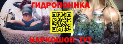 трава Берёзовский