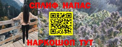 шишки Будённовск