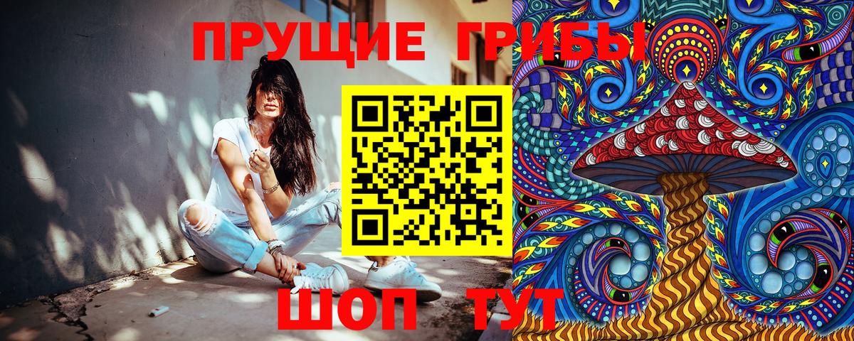 Псилоцибиновые грибы MAGIC MUSHROOMS  Псилоцибиновые грибы GOLDEN TEACHER  Дедовск 