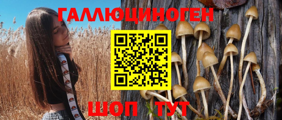 Псилоцибиновые грибы мухоморы  Галлюциногенные грибы MAGIC MUSHROOMS  Вход с VPN  Дедовск 